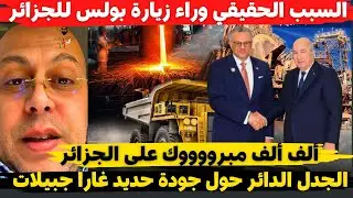 الشبل الجزائر السبب الحقيقي وراء زيارة بولس للجزائر والجدل الدائر حول جودة حديد غارا جبيلات