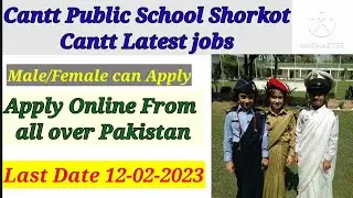 Public School Shorkot Cantt Lates jobs,PAF Base Rafiqui Road Shorkot Cantt School jobs2023,