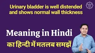 Urinary bladder is well distended and shows normal wall thickness meaning in Hindi