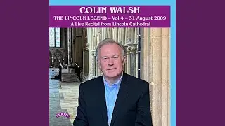 Wir danken dir, Gott, wir danken dir, BWV 29: No. 1, Sinfonia (Live)