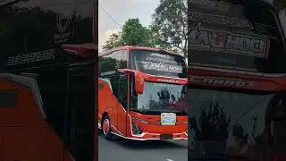 Rombongan Duta Sayur Trans membasuri enaakk uiii #basuri #basuriviral #busmania #buspariwisata