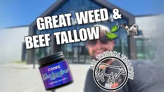 The BEST Weed At GOOD DAY FARM