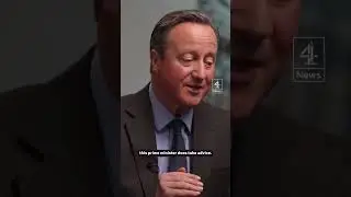 Cameron asked if PM takes advice after D-day early exit