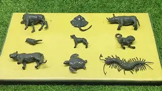 Dirty Toy ➜ Real Animal ✨ | Fun Toy Wash  | Satisfying Wash Transformation | WASH & MAGIC #28