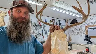 Mounting Danielle's Deer Head! Taxidermy & Talking Outdoors! God's Country Hunting & Fishing is live