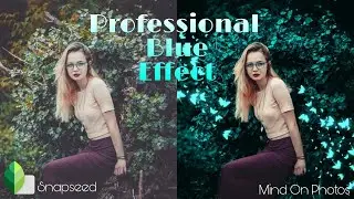 Snapseed - Blue Tone Photography Preset - Mind On Photos
