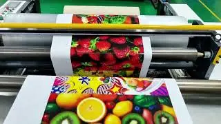 Wonderjet UV Roll to Roll Digital Printer