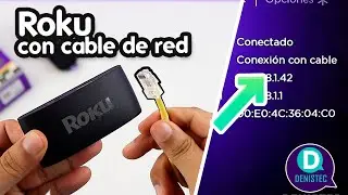 Conectar un cable de red a cualquier ROKU | Mas Accesorios