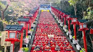 EPIC-Scale HINA MATSURI (Japanese Dolls Festival) at Katsuura, Chiba Prefecture JAPAN  かつうらひな祭り