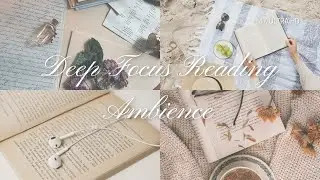 Deep Focus Reading Ambience 🧠 | Background Sound for Hyper-Concentration [4K Ultra HD 2026 Remaster]