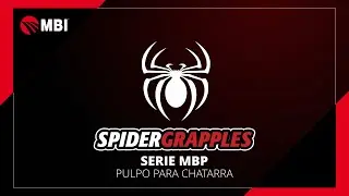 Descripci&oacute;n general de Spider Grapple (ESP)