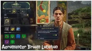 Hogwarts Legacy Aeromancer Broom Location