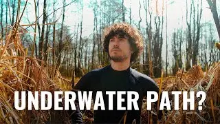 Lithuania&rsquo;s Secret Swamp Roads