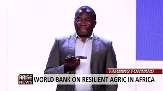 Sustainable Farming: World Bank On Resilient Agriculture in Africa