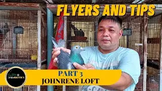 Lahat ng flyers may pasok ng Jose Torres Bloodline!