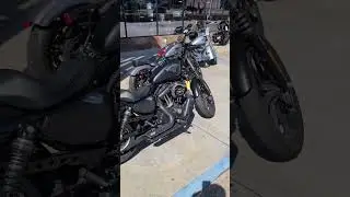 BEAUTIFUL Iron 883 with Vance and Hines Pipes #harleydavidson #shorts
