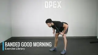 Banded Good Morning - OPEX Exercise Library