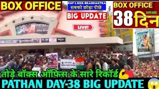 Pathan (Day 38) 😱🤨 Big Jump History Create | Pathan box office collection | Pathan Box Office 🙏🙏🙏