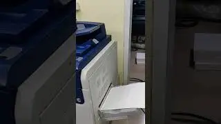 Custom sticker printing any shape