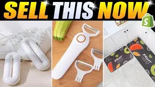 Top 10 Shopify Winning Products To Make Money Online