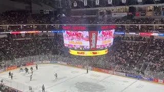 Hershey Bears Teddy Bear Toss World Record! 102,343 Teddys!!! (January 5th 2025)