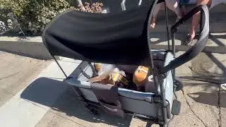 WONDERFOLD W1 Original Double Stroller Wagon Review, Perfect Starter Wagon