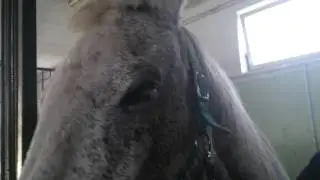 MOV 0898