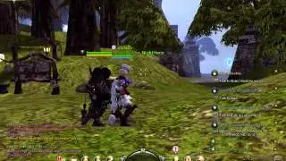 Abyss walker summon shadow ex (patch 170) not increase duration