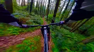 Rostrevor &ldquo;Bins 1.5&rdquo; Evening Laps