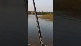 Mejor Craft Indra Fishing Rod Fist Catch Snackhead Fish Fishing 🎣