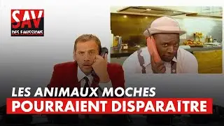 Les belles esp&egrave;ces sont mieux conserv&eacute;es.. 😂 - Le S.A.V. des &eacute;missions - 2010 - CANAL+