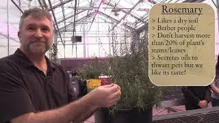 Farm2ForK: Rosemary