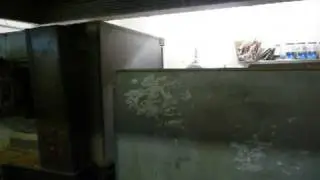 Albert Einstein Death Mask