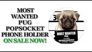 Pug Dog PopSocket Holder Mount Car Women Men Kids - PopSockets Grip and Stand for Phones and Tablets