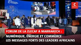 Africa: Digitalization and Energy &ndash; Key messages from APEBI and FENELEC