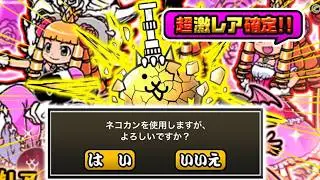 こいよ！！！！！！