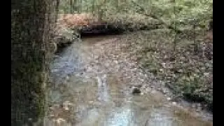 Lots And Land for sale in Ellijay, GA - 0 Shakerag