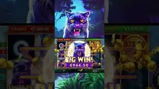 Panther Moon Bonus