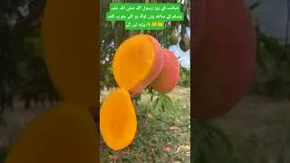 #доверьтесьАллаху ✨🤲🤲