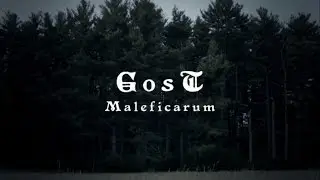 GosT - 