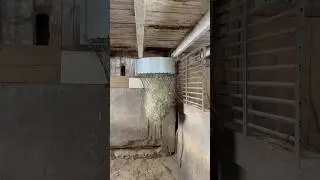 Easiest way to fill hay nets