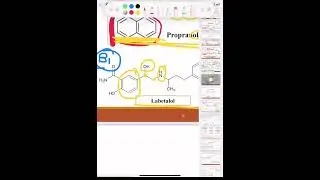 SYMPATHETIC AUTONOMIC NERVOUS SYSTEM part 6 beta blockers