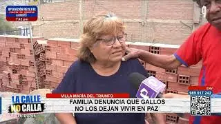 Gallos no dejan dormir a vecinos en VMT