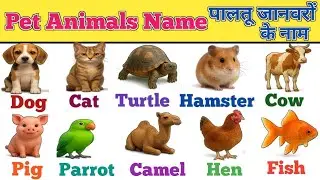 20 Pet Animals Name | Domestic Animals Name for Kids | Learn Animals in English 