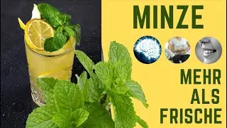 Minze &ndash; viel mehr als nur erfrischend! Wirkung, Anwendungen & Studien