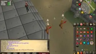 high risk fight 07!