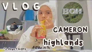 CAMERON HIGHLANDS - VLOG // 2 HARI 1 MALAM 🇲🇾