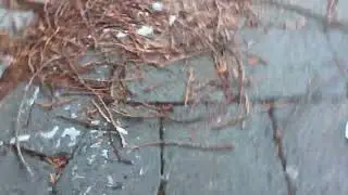 Smashing ice (satisfying)