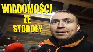WIADOMOŚCI ZE STODOŁY #1, HISTORIA KOTA, ROZWIJAM SIEĆ SERWIS&Oacute;W, ODPALAM JAKIŚ TRAKTOR.