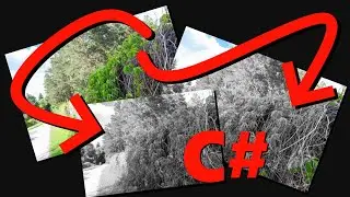 Make a GDI+ Region Black & White in C# (GDI+/WinForms/System.Drawing) [PART 2 OF NEGATE REGION]